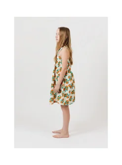 Robe Clementines