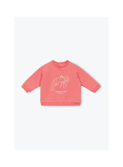 Sweat Bébé Crevette Club