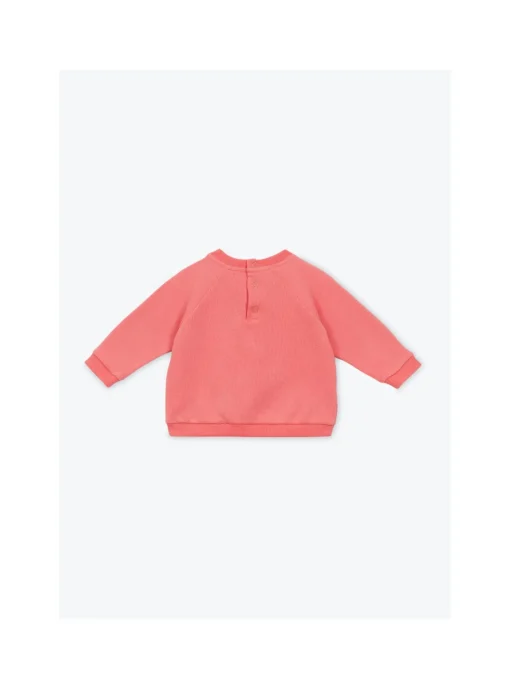 Sweat Bébé Crevette Club