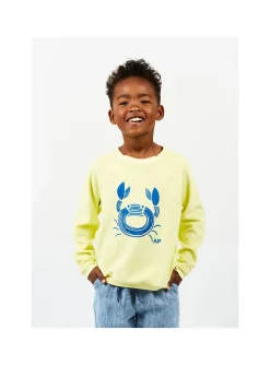 Sweat Eponge Crabe