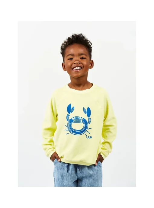 Sweat Eponge Crabe