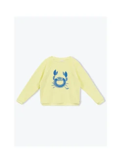 Sweat Eponge Crabe